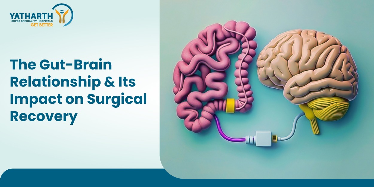 The Gut-Brain Relationship and Its Impact on Surgical Recovery