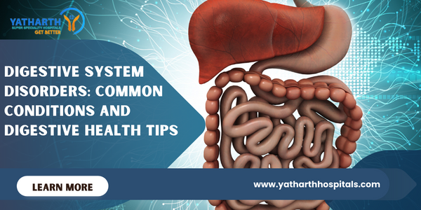 Digestive System Disorders Common Conditions and Digestive Health Tips