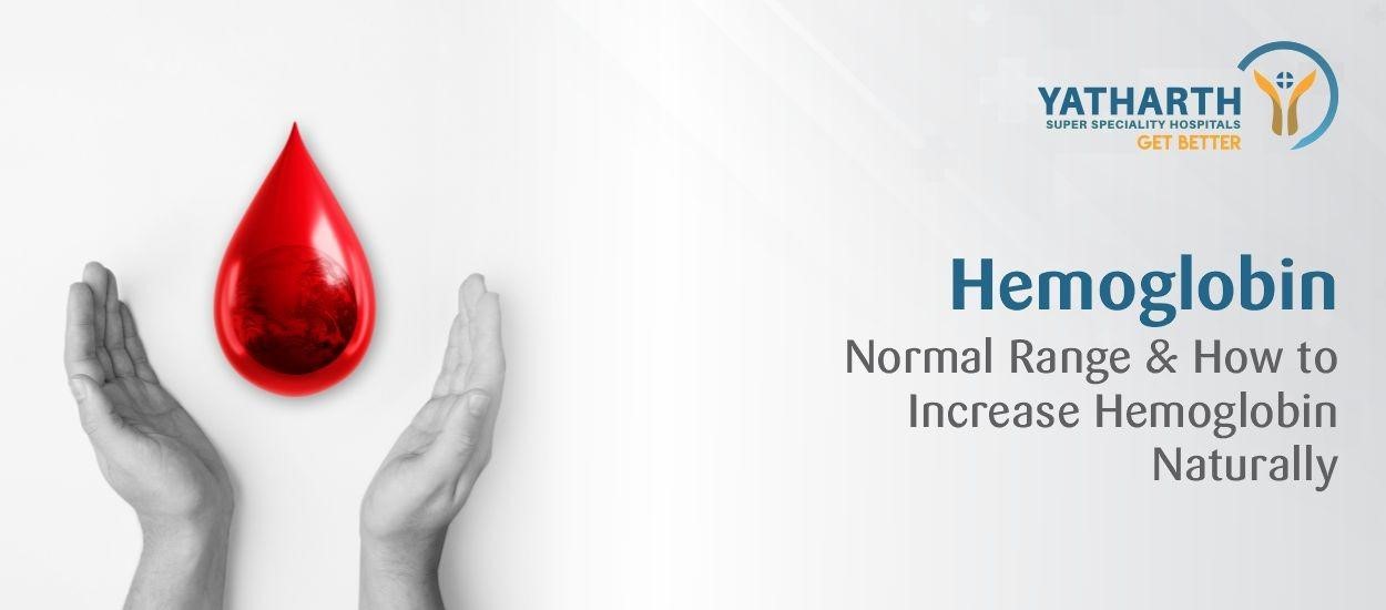 Haemoglobin: Normal Range & How to Improve Haemoglobin Naturally