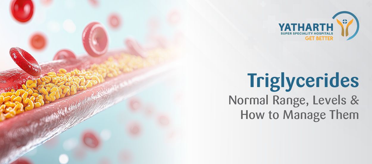 Triglycerides: Normal Range, Levels and How to Manage Them