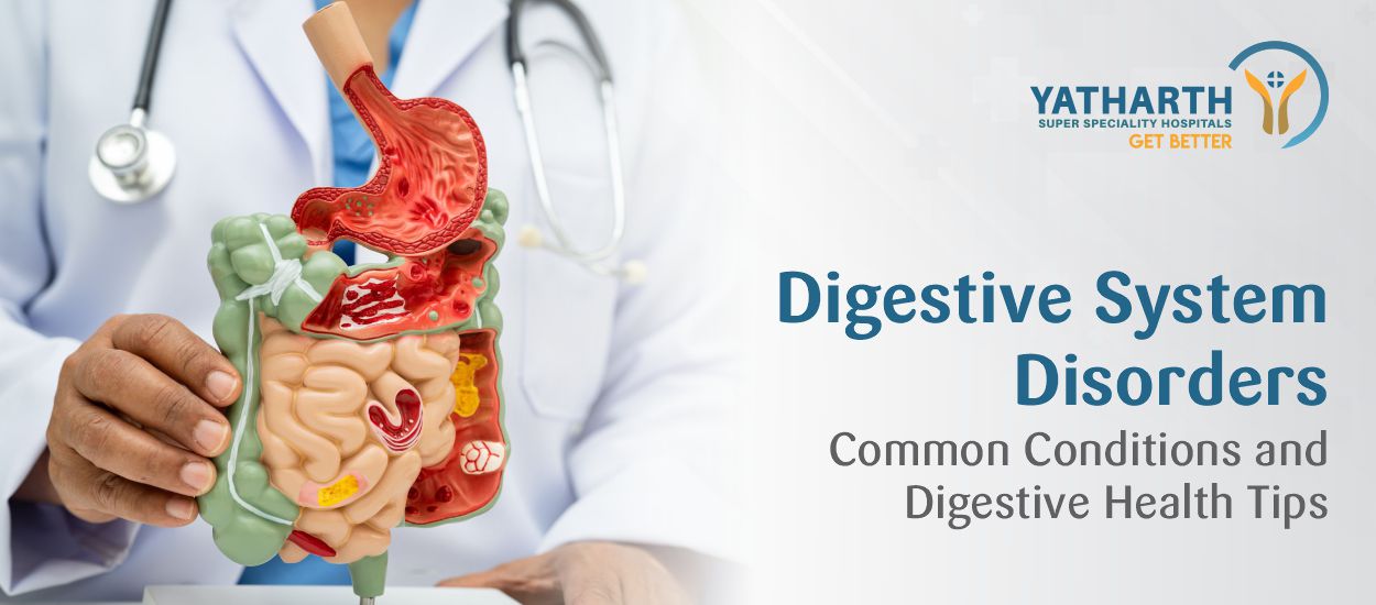 Digestive System Disorders Common Conditions and Digestive Health Tips